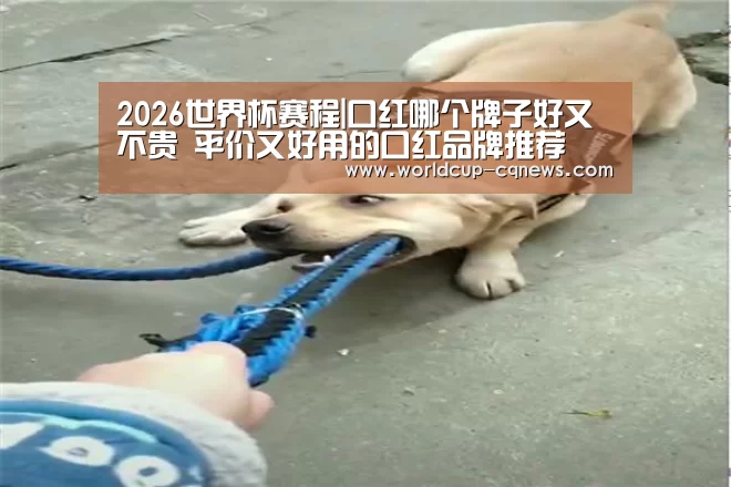 2026世界杯赛程|口红哪个牌子好又不贵 平价又好用的口红品牌推荐
