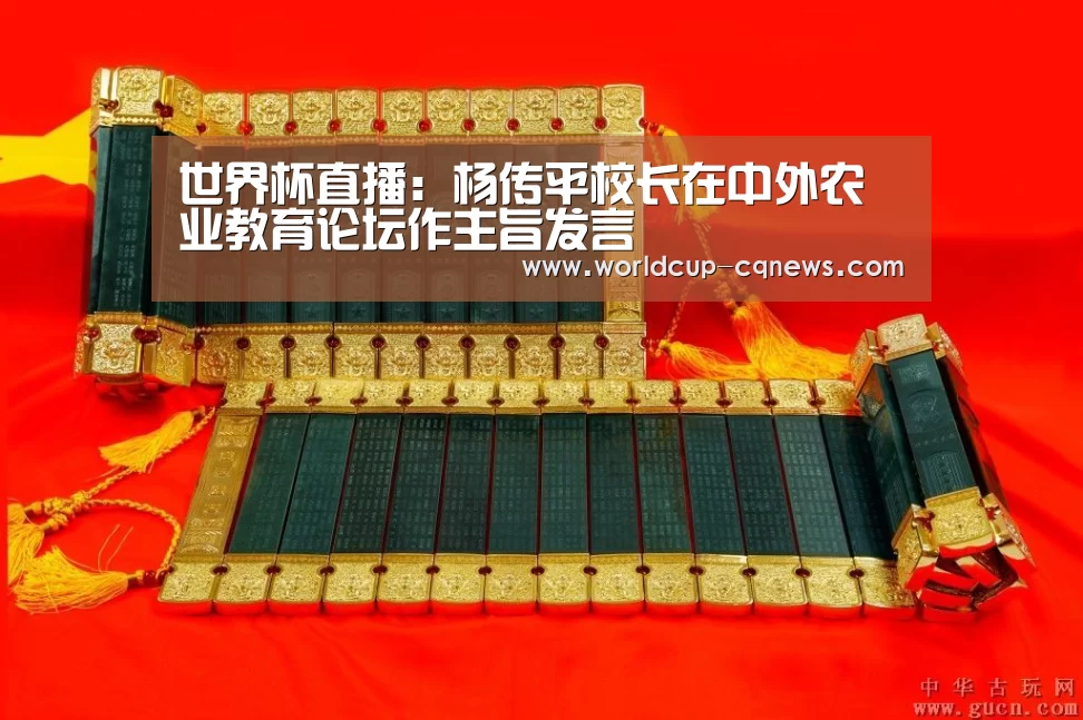 世界杯直播:杨传平校长在中外农业教育论坛作主旨发言(图2) 2026世界杯赛程