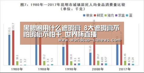 黑眼圈用什么遮瑕膏 8大遮瑕膏不怕瑕疵不怕干_世界杯直播